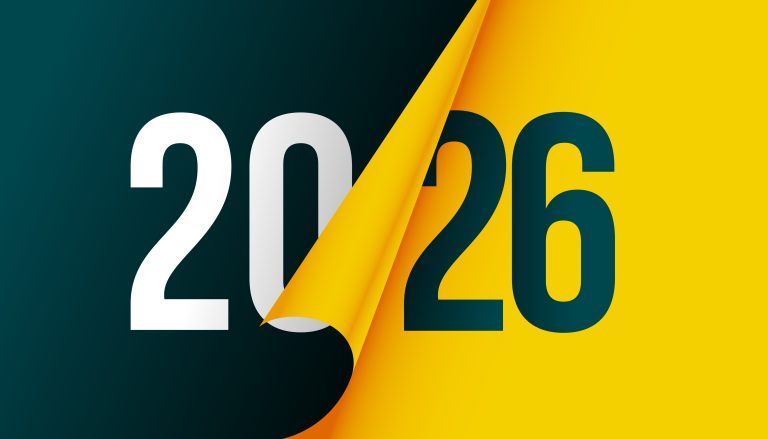 Podsumowanie roku w projekcie TWINS.PL – dziękujemy i patrzymy w przyszłość!